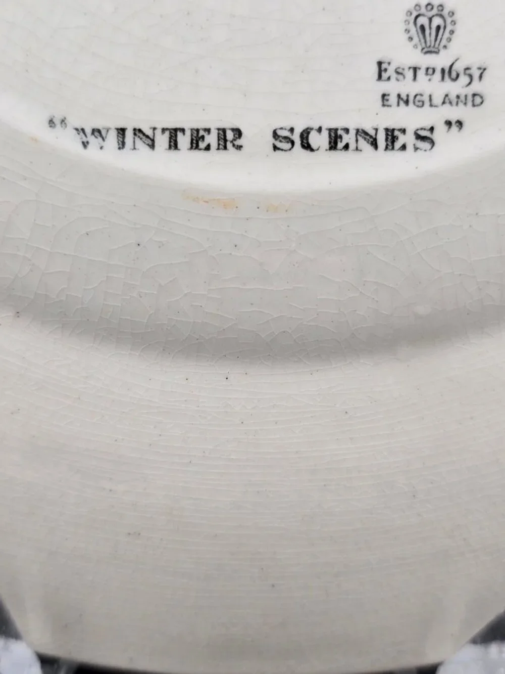 Adams England Snowed Up Ruffed Grouse In Winter 10